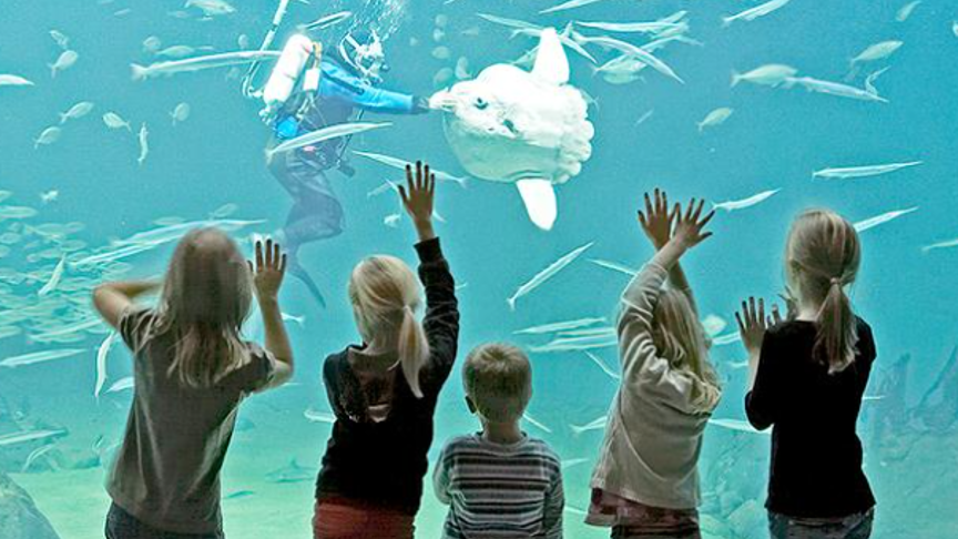 Nordsøen Oceanarium