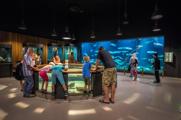 Fiskeri- og Søfartsmuseet i Esbjerg får trecifret milliondonation